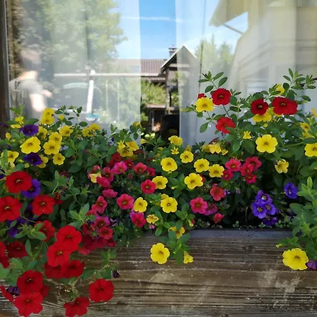 Heidi's Ferienwohnung2 アパート