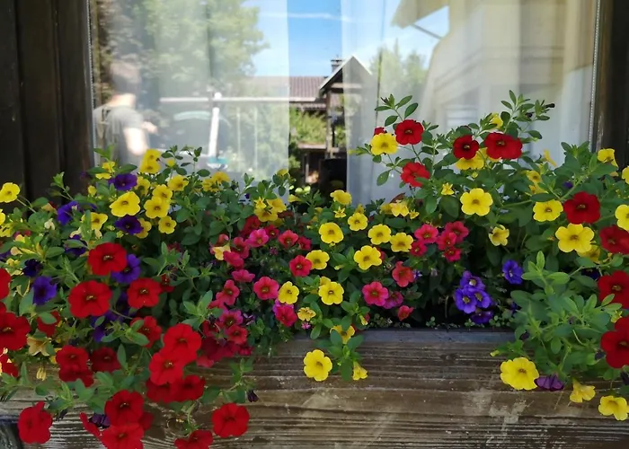 Heidi's Ferienwohnung2 公寓